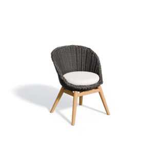 Tulle Dining Chair