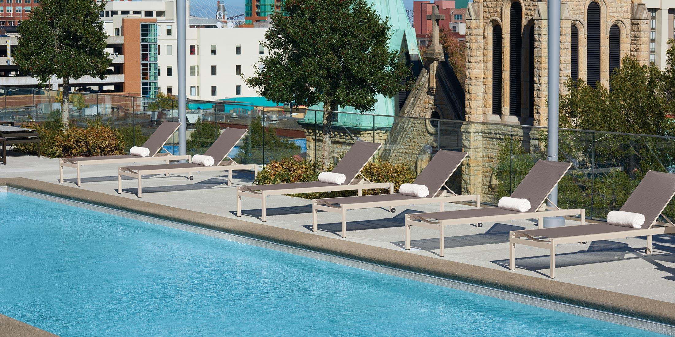 Ven Archives - Oxford Garden